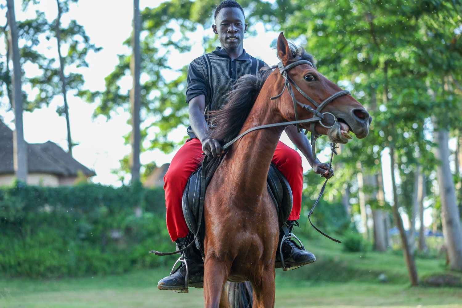 Lakeside Horse Riding