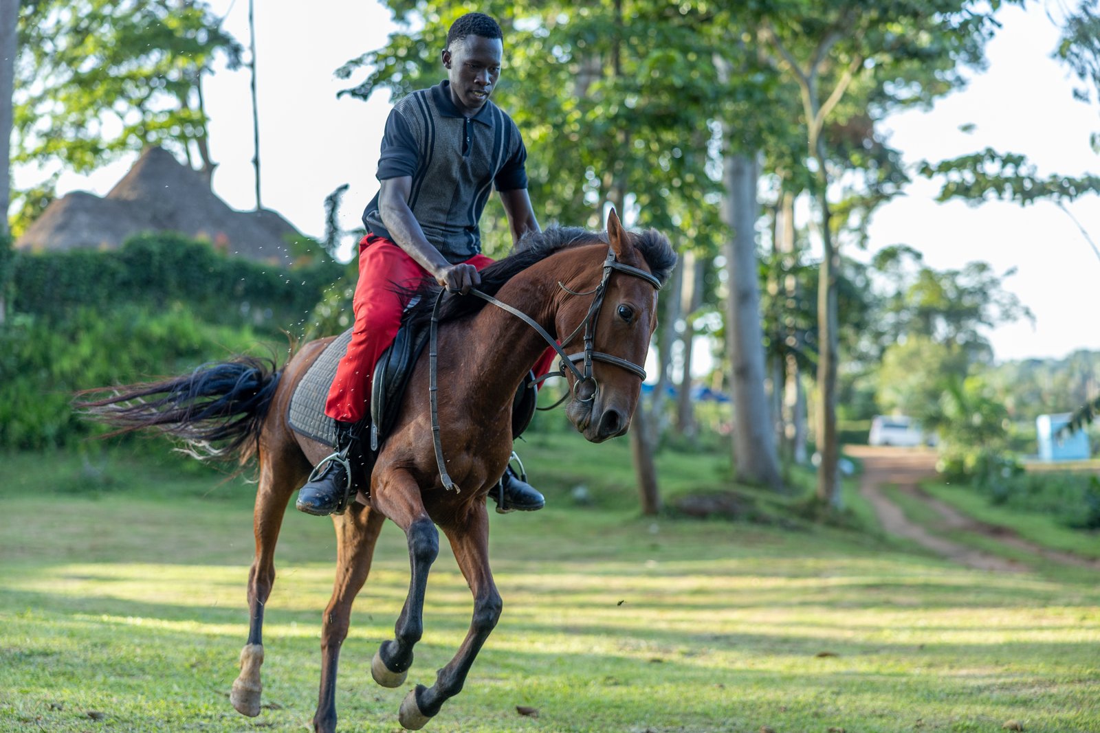 Lakeside Horse Riding