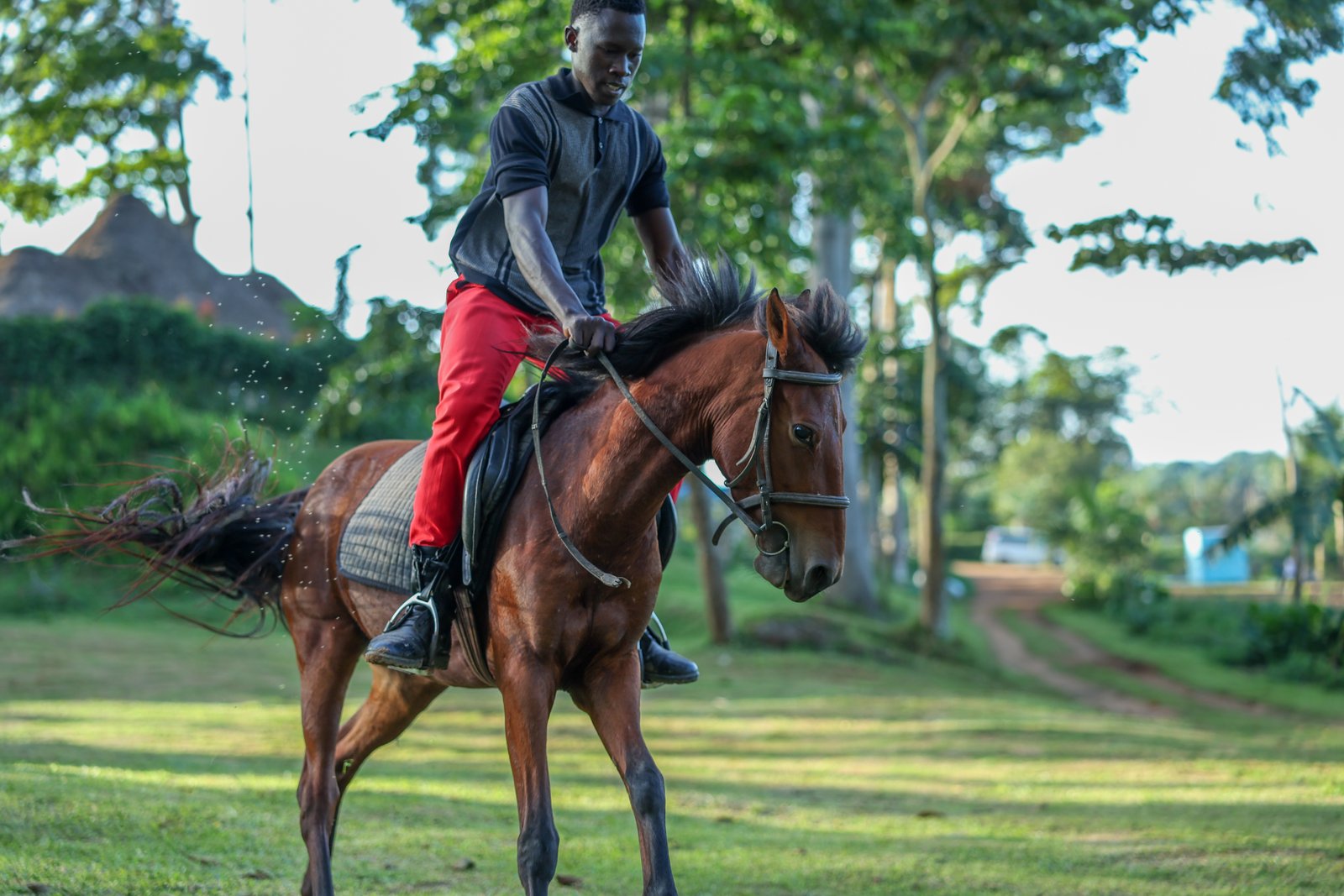 Lakeside Horse Riding