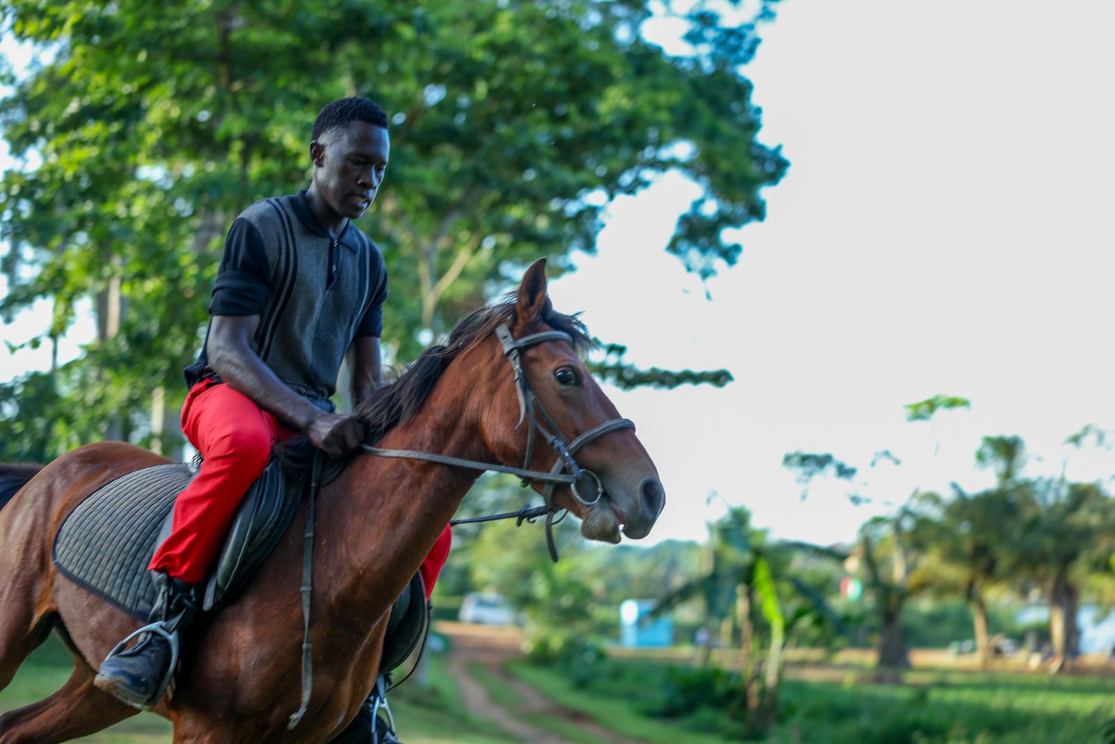 Lakeside Horse Riding
