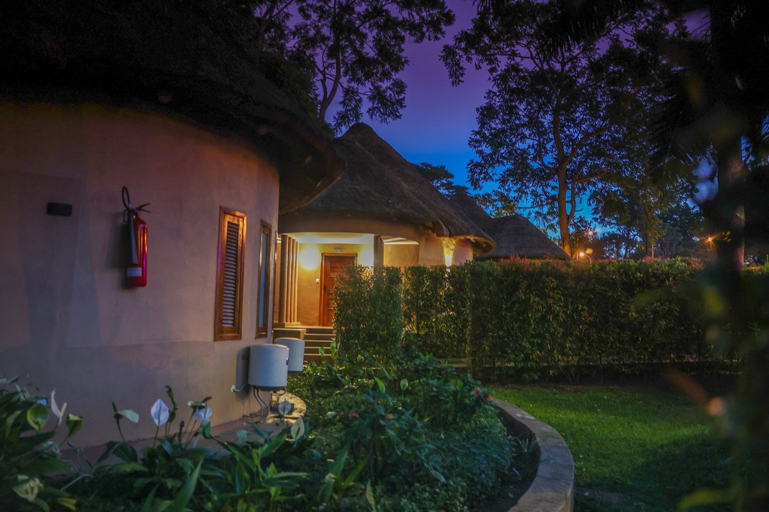 Nature