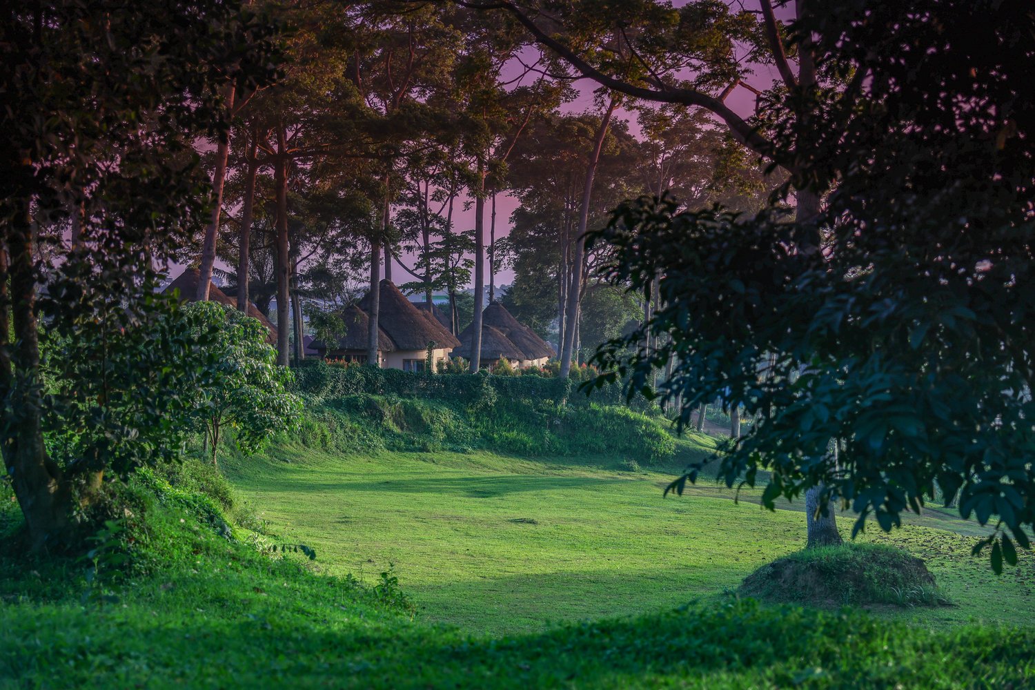 Nature